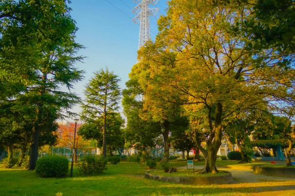 Parque Adachi Ubicación Del Disparo Adachi Tokyo — Foto de Stock