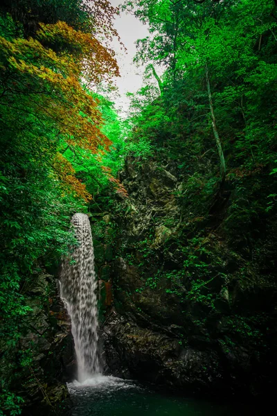 Koga Şelalesi Kobe Şehri Arima Onsen Çekim Yeri Kobe Şehri — Stok fotoğraf