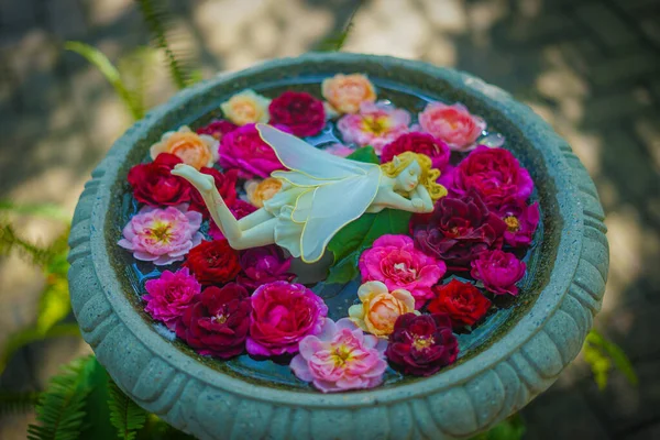 Älva Sover Blommor Skytteläge Nishi Yokohama — Stockfoto