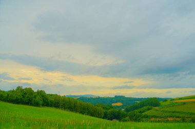 Furano 'da sade, Hokkaido. Çekim Konumu: Hokkaido Furano