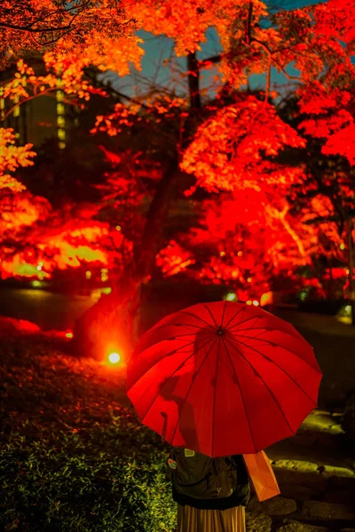 Paraguas Rojo Hojas Otoñales Ubicación Del Disparo Minato Tokyo — Foto de Stock