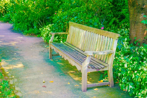 Bench Erdőben Lövöldözés Helye Nishi Yokohama — Stock Fotó