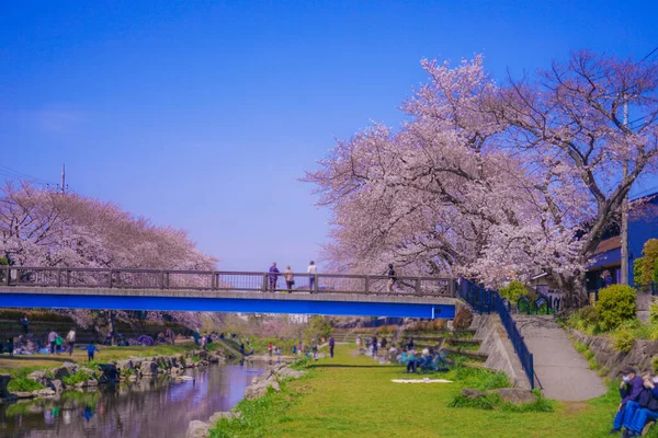 Voorjaar Van Nogawa Chofu City Tokio Schietplaats Tokyo Chofu City — Stockfoto