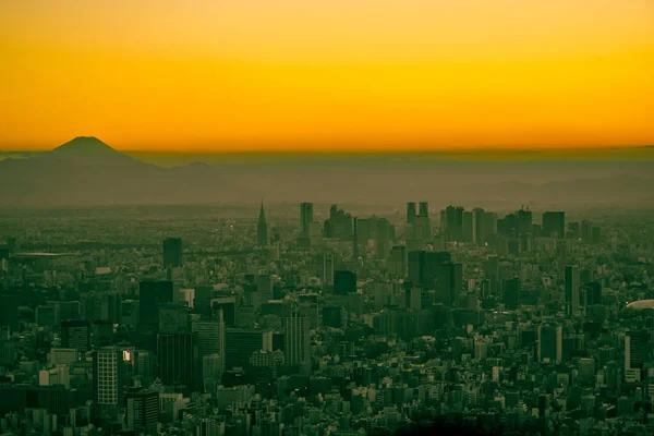 東京高層ビルと富士山 富士山 撮影場所 東京都墨田区 — ストック写真