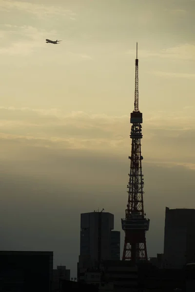东京的城市景观 夜景和飞机 射击地点 东京Minato — 图库照片