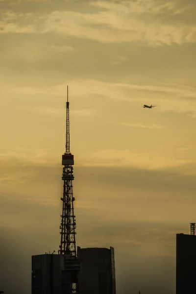 Cityscape Tokyo Evening View Airplane Shooting Location Minato Tokyo — Stock Photo, Image