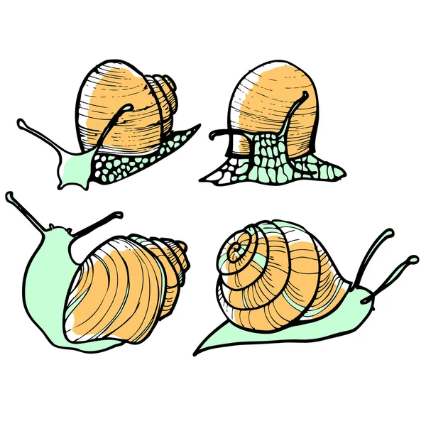 Ensemble de quatre escargots — Image vectorielle