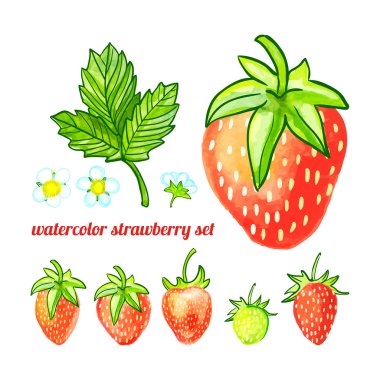 çilek, yaprak ve çiçek sulu boya seti