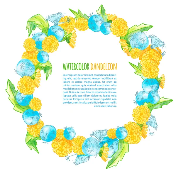 Vector illustration. watercolor dandelions.