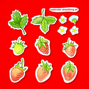 sulu boya seti. çilek, yaprak ve çiçek kırmızı arka plan ile sopa