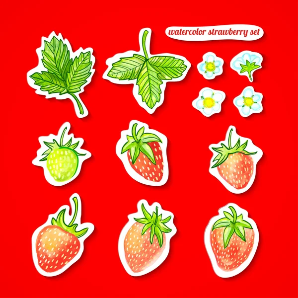 sulu boya seti. çilek, yaprak ve çiçek kırmızı arka plan ile sopa
