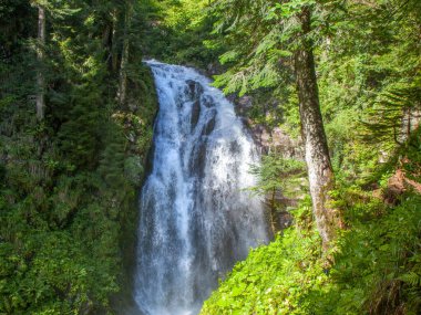 Gün ışığında kanyonda bir dağ şelalesi. Abhazya, Rusya