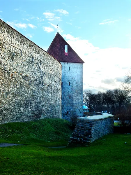 Antiguo castillo en el fondo de la hierba y el cielo —  Fotos de Stock