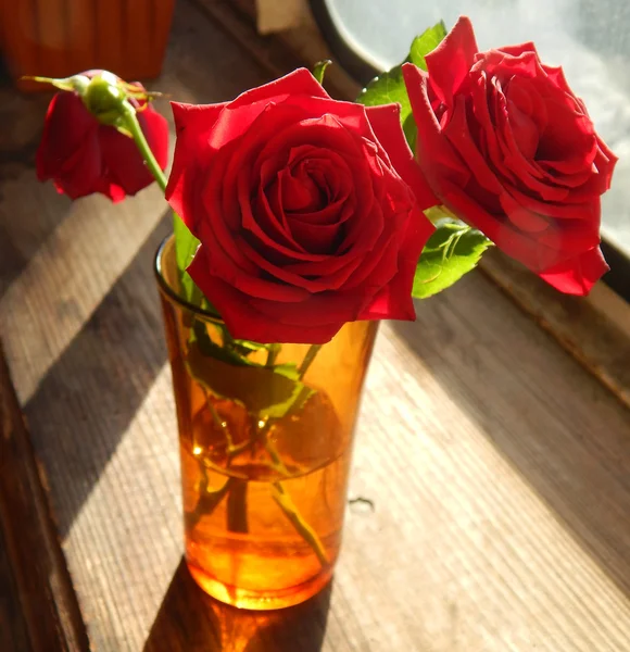 美しい花 - 大きな赤いバラ、その花びらのクローズ アップとの愛のシンボル — ストック写真