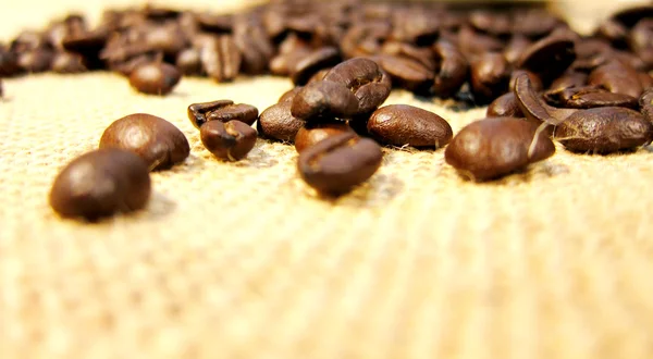 Grains de café gros plan — Photo