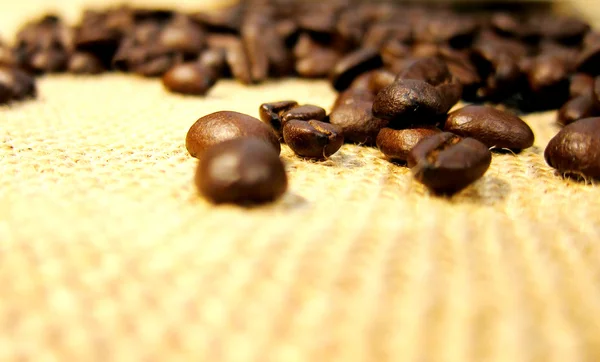 Coffee beans closeup — Stock Photo, Image