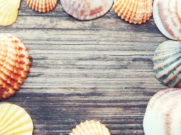 Frame of seashells on a wooden background — Stock Photo, Image