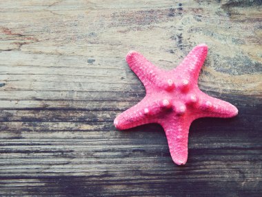 bir ahşap zemin üzerinde izole pembe deniz yıldızı