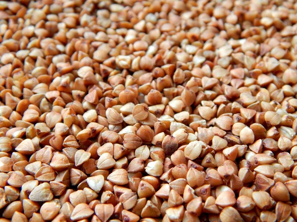 Buckwheat grains on wooden table — Stock Photo, Image