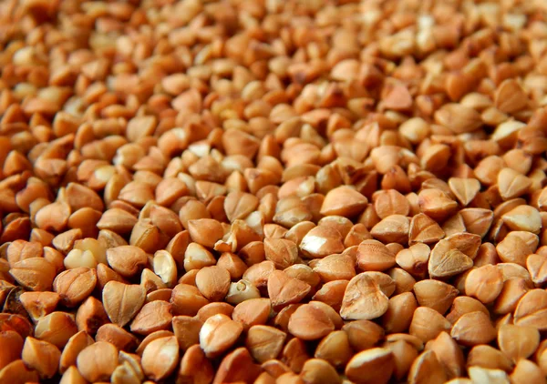 Buckwheat grains on wooden table — Stock Photo, Image