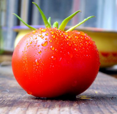 büyük kırmızı domates portre
