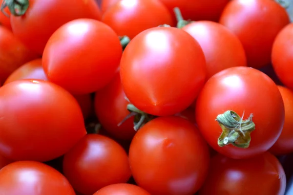 大きな赤いトマト — ストック写真