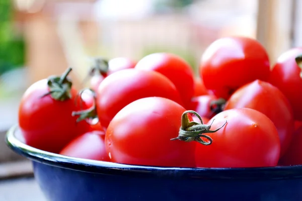 Большие красные помидоры в миске — стоковое фото
