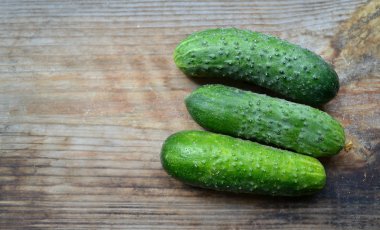 taze yeşil salatalık