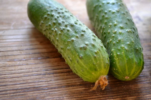 Frische grüne Cucmber — Stockfoto