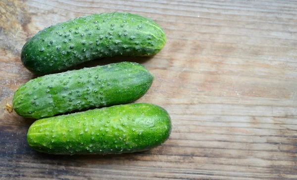 Frische grüne Gurken — Stockfoto