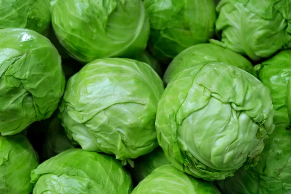 A lot of whole green cabbage — Stock Photo, Image