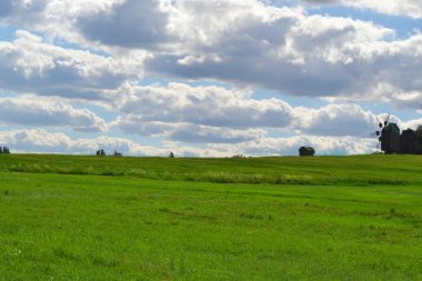 Yeşil çayır ve bulutlu mavi gökyüzü