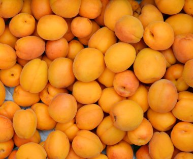 Turuncu kayısı çok