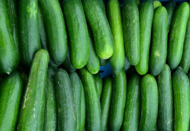 taze yeşil salatalık