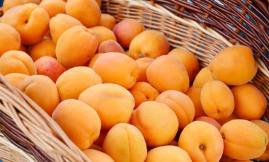 Turuncu kayısı çok