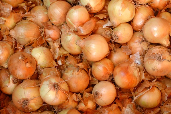 Viele goldene Zwiebeln — Stockfoto