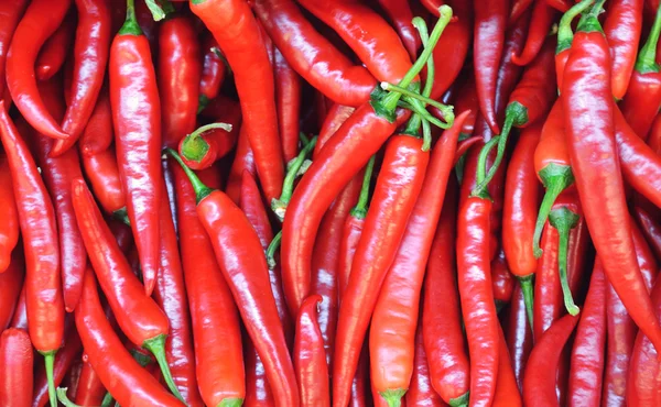 Muchos chiles rojos. — Foto de Stock