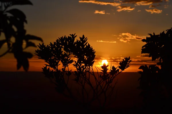 Silhueta und Sonnenuntergang — Stockfoto