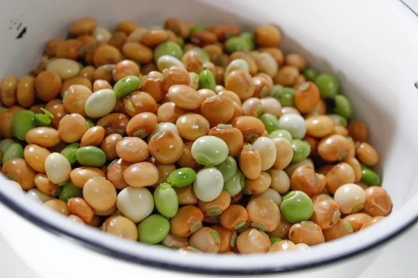 Seeds, beans — Stock Photo, Image