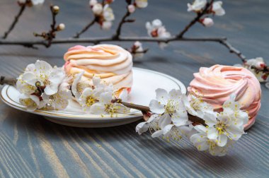 Beyaz porselen bir kapta, dalların arasında narin beyaz ve pembe şekerlemeler.