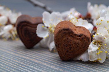 Çikolatalı trüf mantarı. Tahta bir masanın üzerinde çiçek açan dallar.