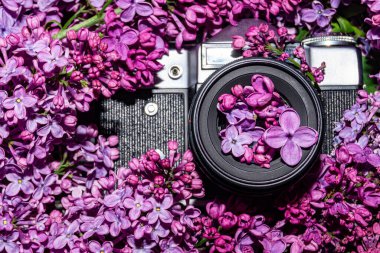 Leylak çiçekli retro kamera
