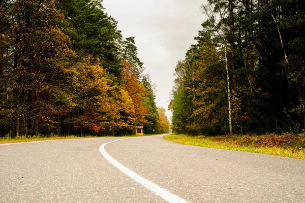 Empty Car Road Autumn Forest — Stock Photo, Image