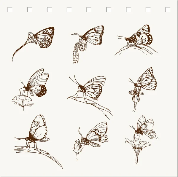 Collection de papillons dessinés à la main — Image vectorielle