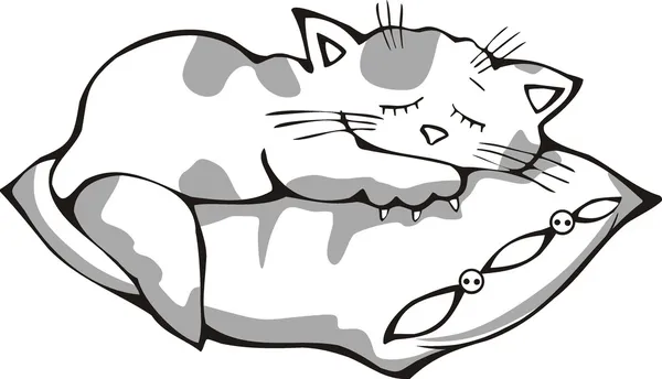 Sleeping Kitty con almohada — Vector de stock