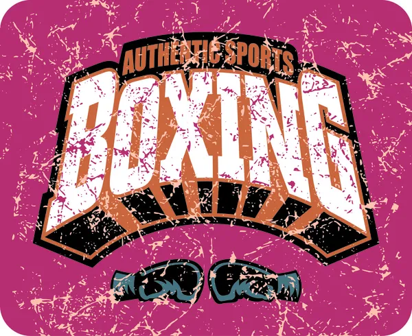 Boxe authentique — Image vectorielle