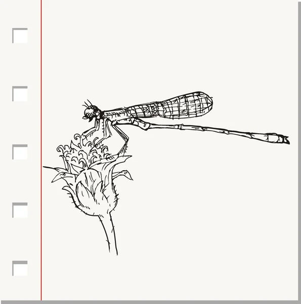 Dragonfly on flower — Stock Vector