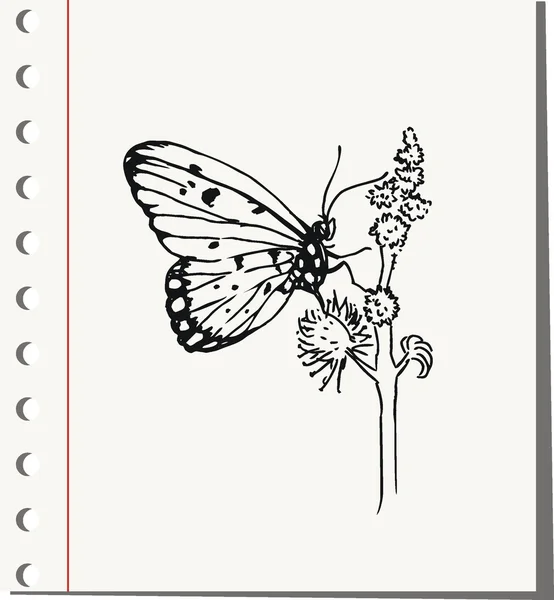 Papillon voler sur une fleur — Image vectorielle