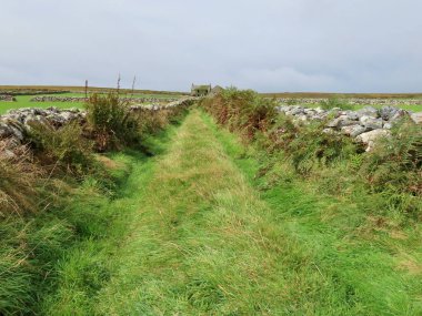 Ev ile Moore manzarası