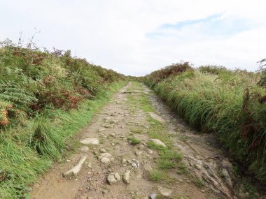 Yollu Moore manzarası